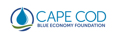 Blue Economy Foundation-1