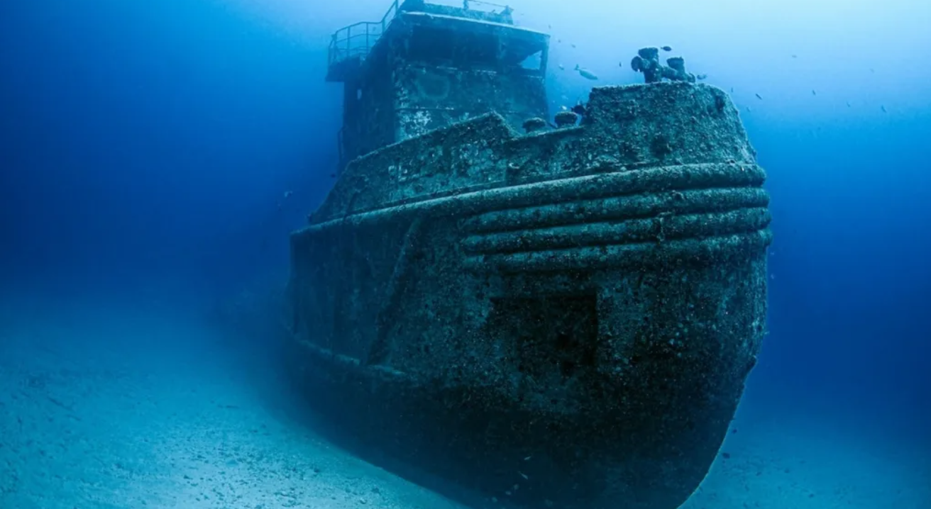 CCMM History on Tap Biodiversity on Shipwrecks