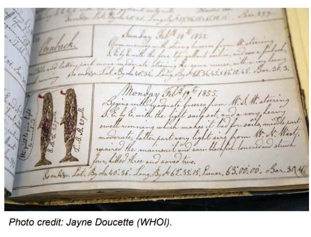 CCMM History on Tap Climate Clues from New England Whaling Log Books