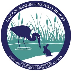 CCMNH- Logo