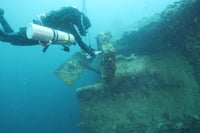 CCMNH Shipwrecks