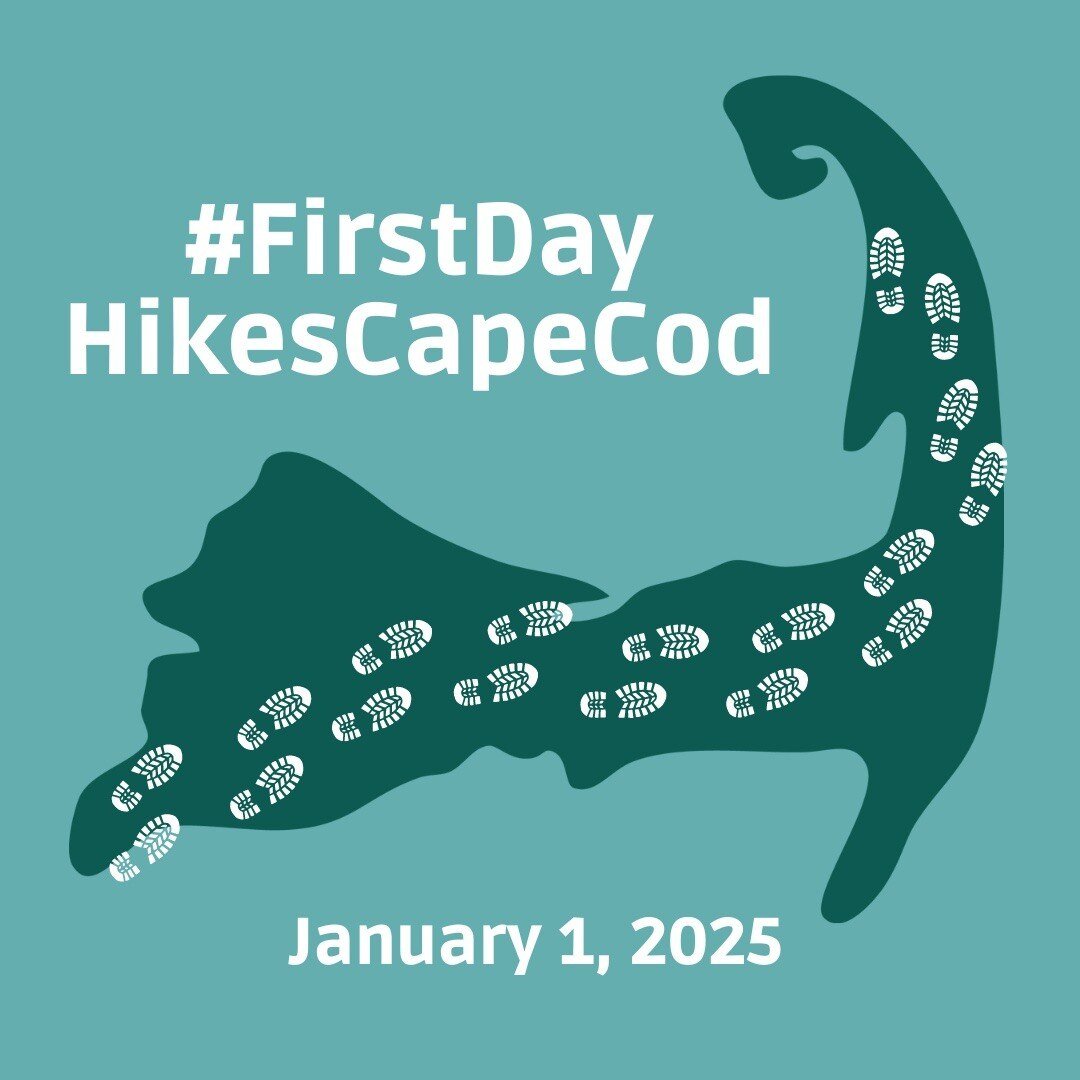 FirstDayHikes