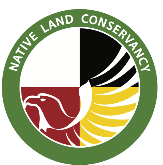 Logo NLC