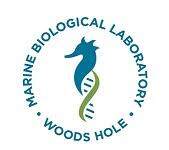 Logo_Marine Biological Laboratory