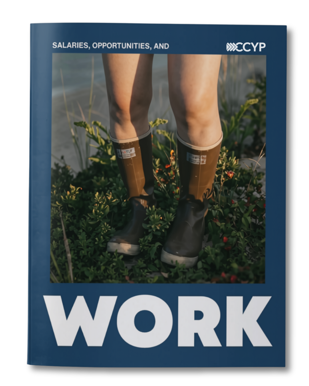 Salaries Report Icon