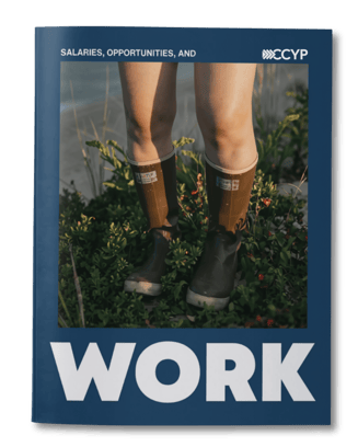 Salaries Report Icon
