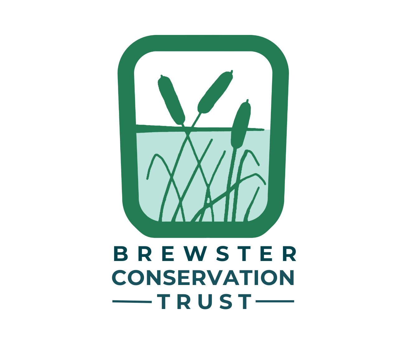 BCT Logo_w Name