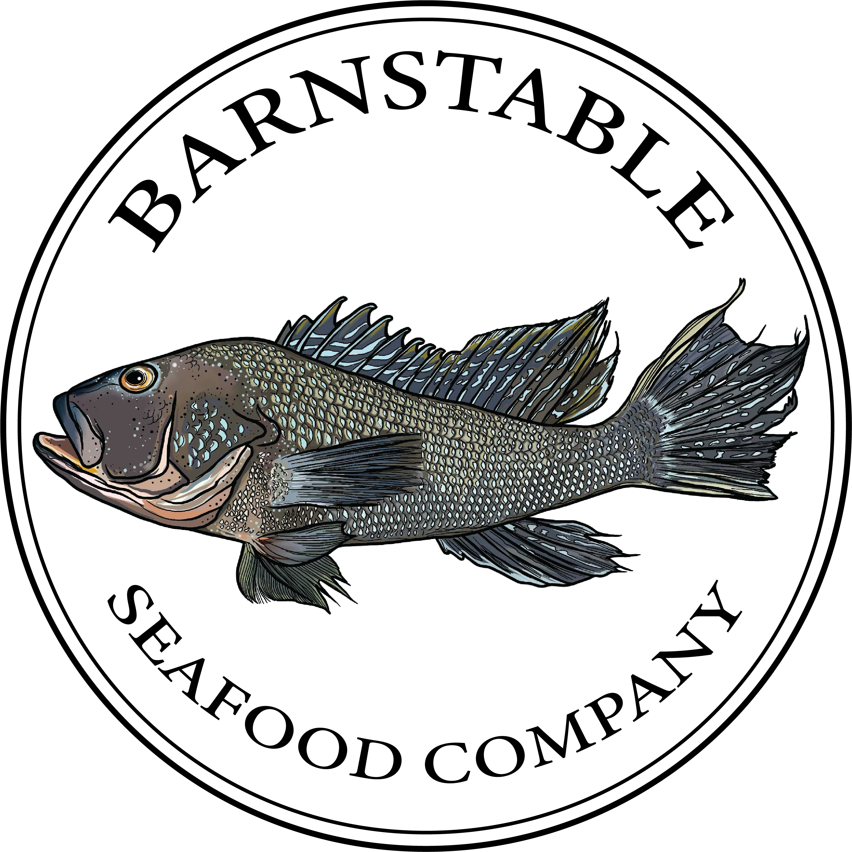 Barnstable Seafood Company