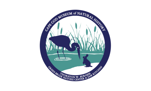 CCMNH Logo