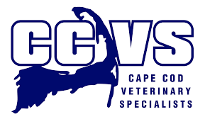 CCVS