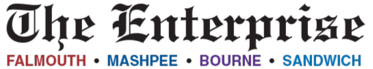 Logo Enterprise